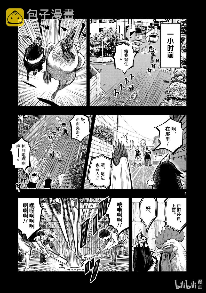 🍴鸡斗士 第12只 池鱼笼鸟 第3页