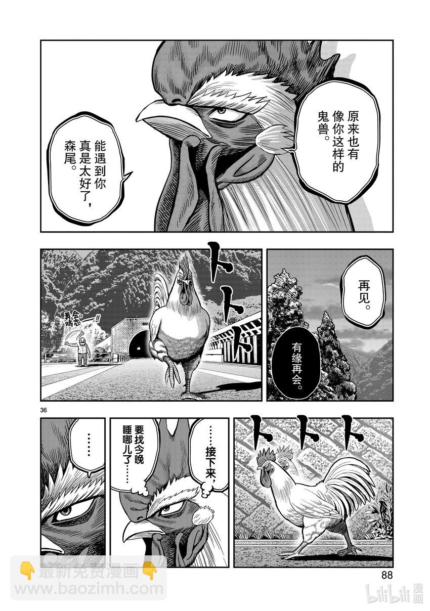 🍴鸡斗士 第12只 池鱼笼鸟 第36页