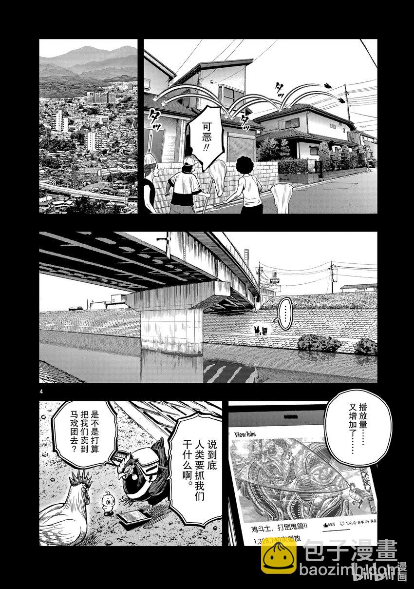 🍴鸡斗士 第12只 池鱼笼鸟 第4页