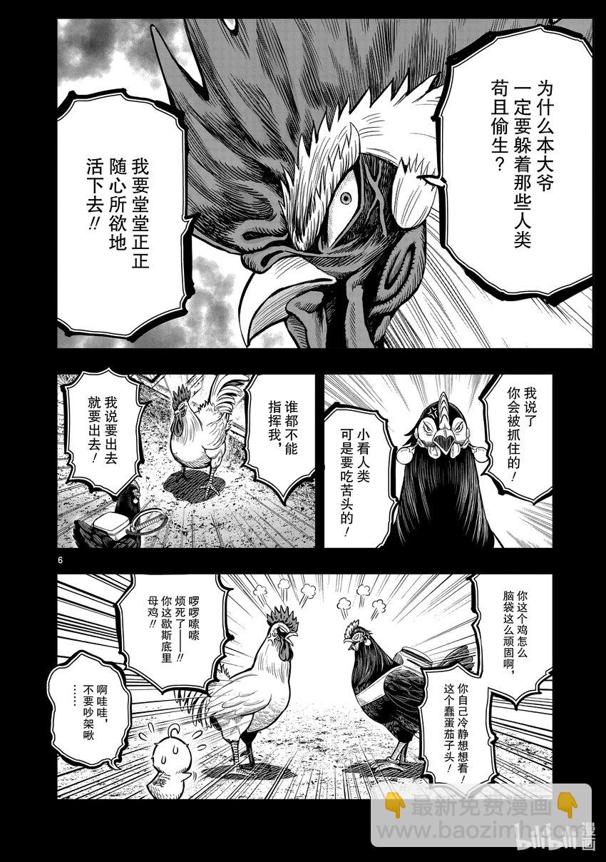 🍴鸡斗士 第12只 池鱼笼鸟 第6页