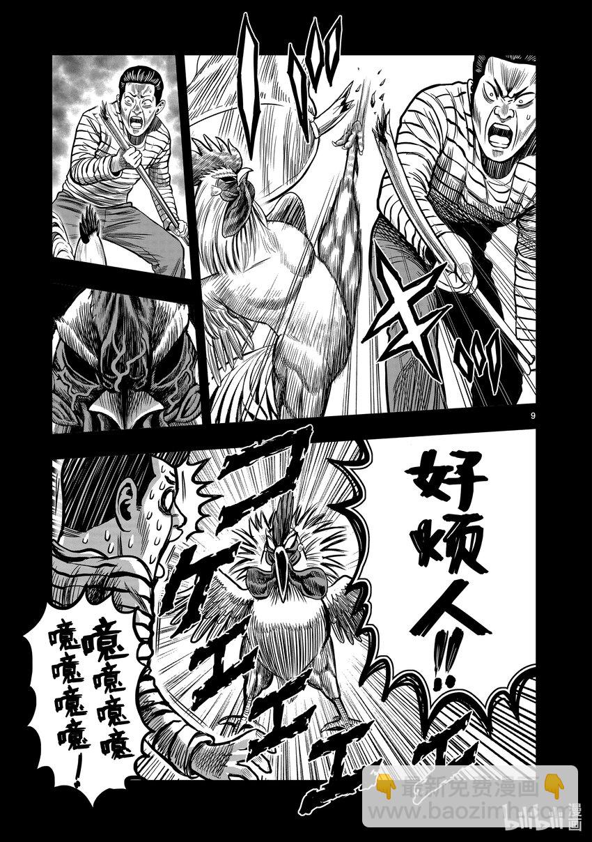 🍴鸡斗士 第12只 池鱼笼鸟 第9页