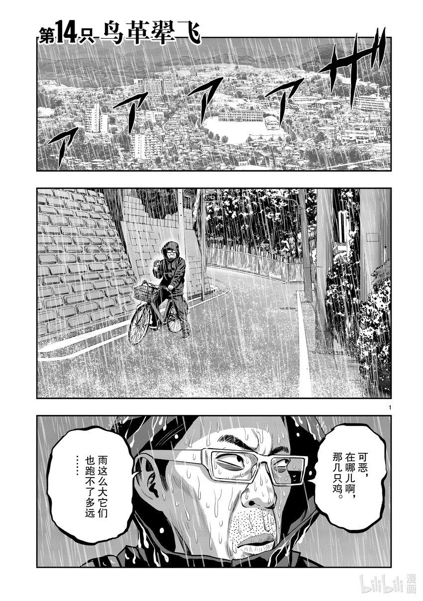 🍴鸡斗士 第14只 鸟革翚飞 第1页