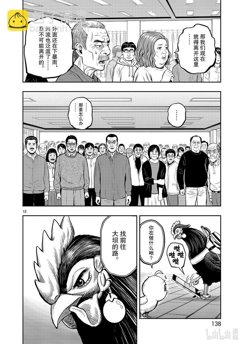 🍴鸡斗士 第14只 鸟革翚飞 第12页