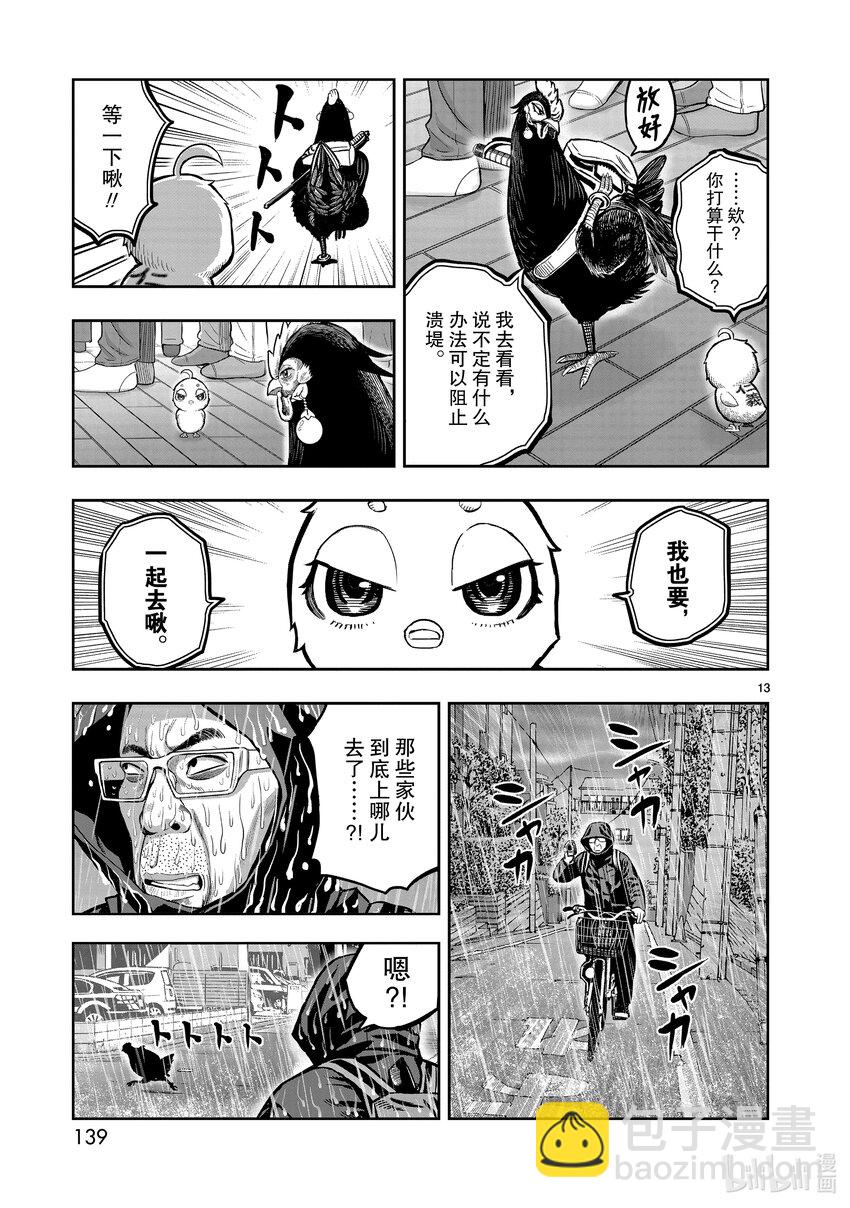 🍴鸡斗士 第14只 鸟革翚飞 第13页