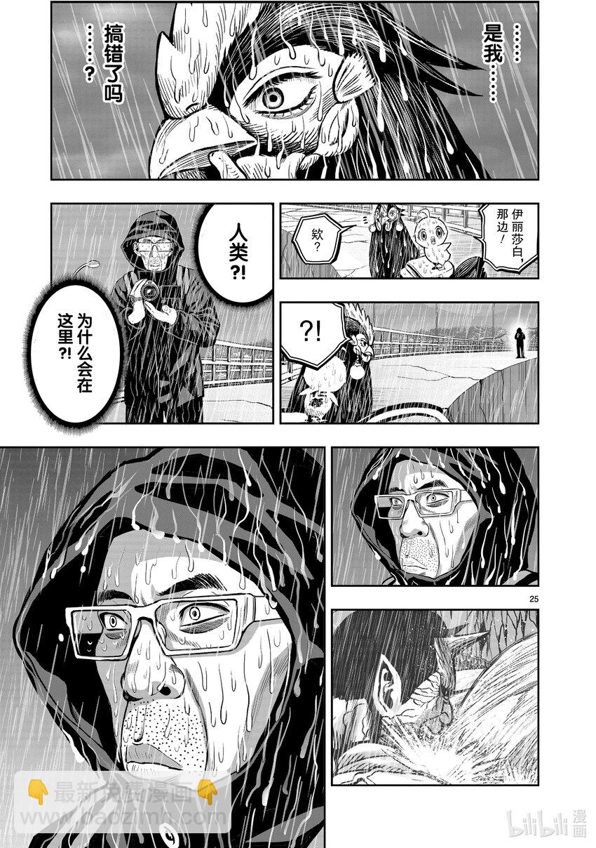 🍴鸡斗士 第14只 鸟革翚飞 第25页