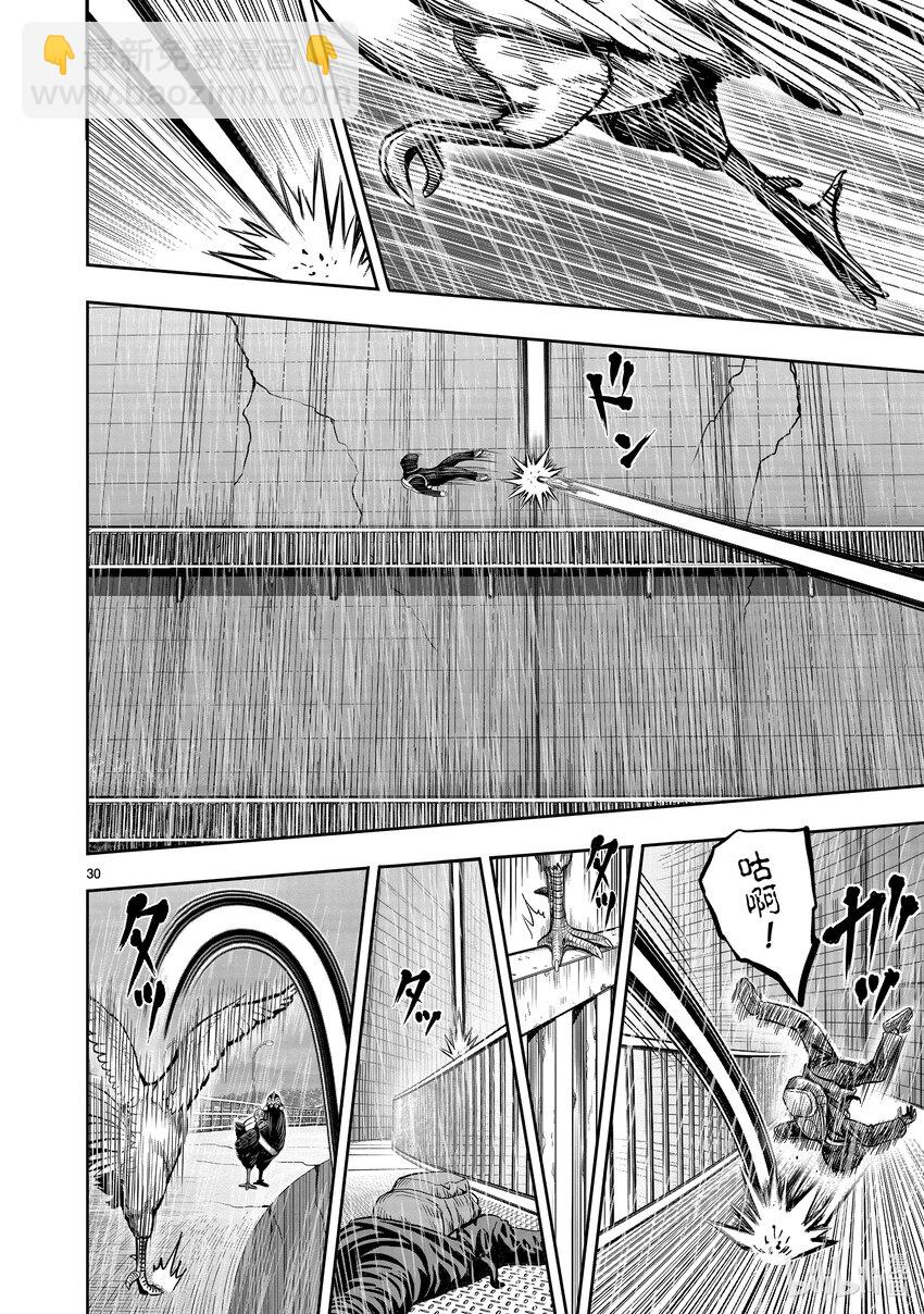 🍴鸡斗士 第14只 鸟革翚飞 第30页