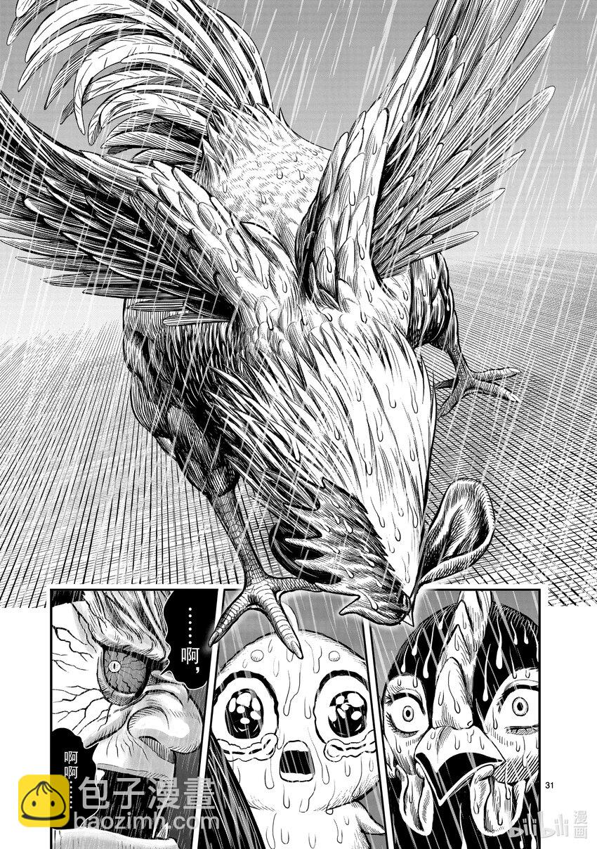 🍴鸡斗士 第14只 鸟革翚飞 第31页