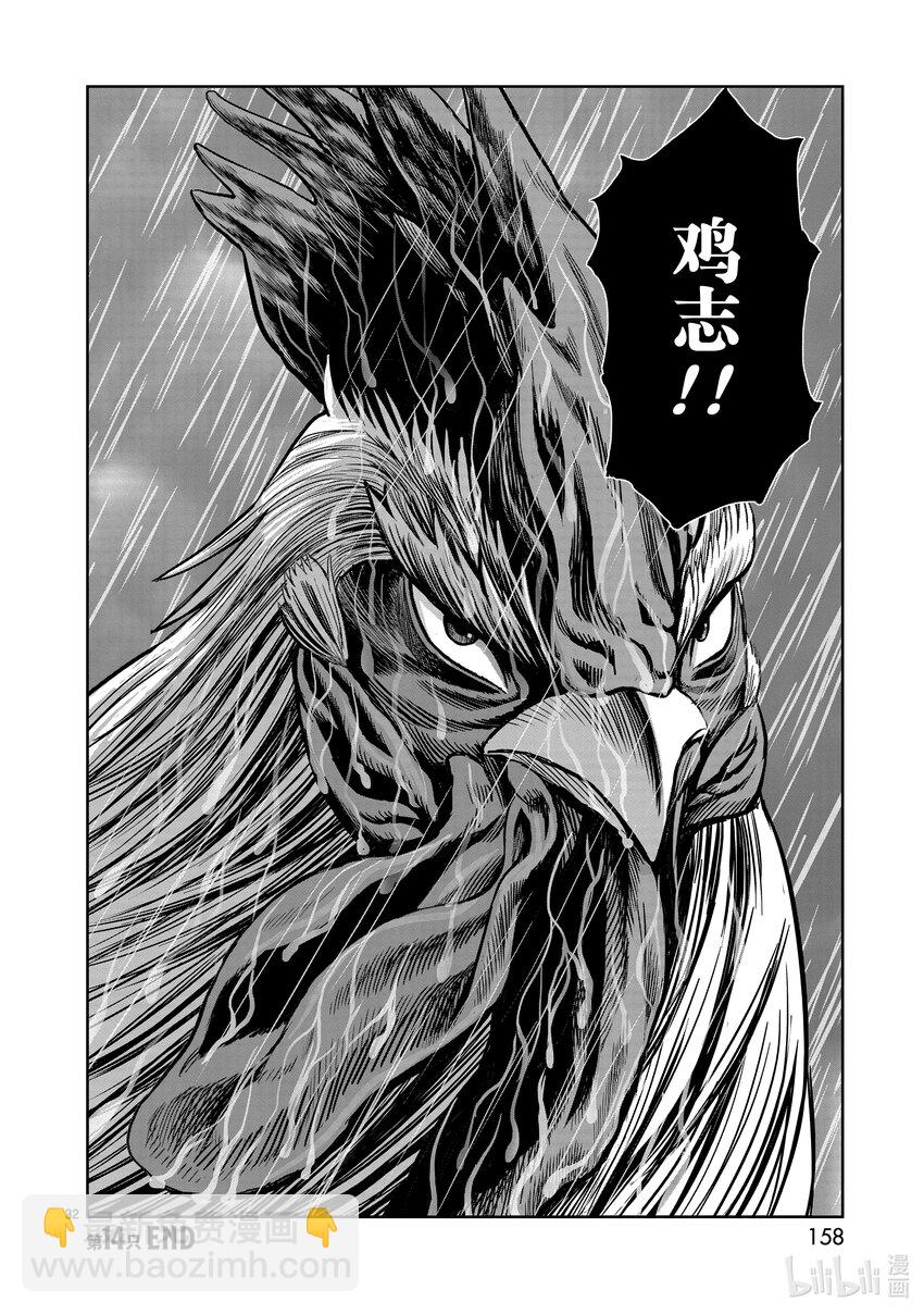 🍴鸡斗士 第14只 鸟革翚飞 第32页
