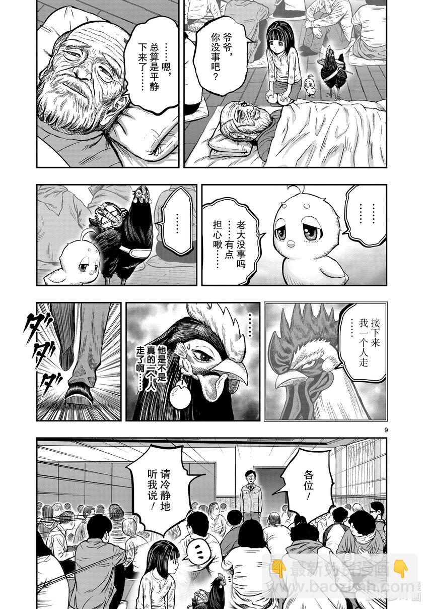 🍴鸡斗士 第14只 鸟革翚飞 第9页