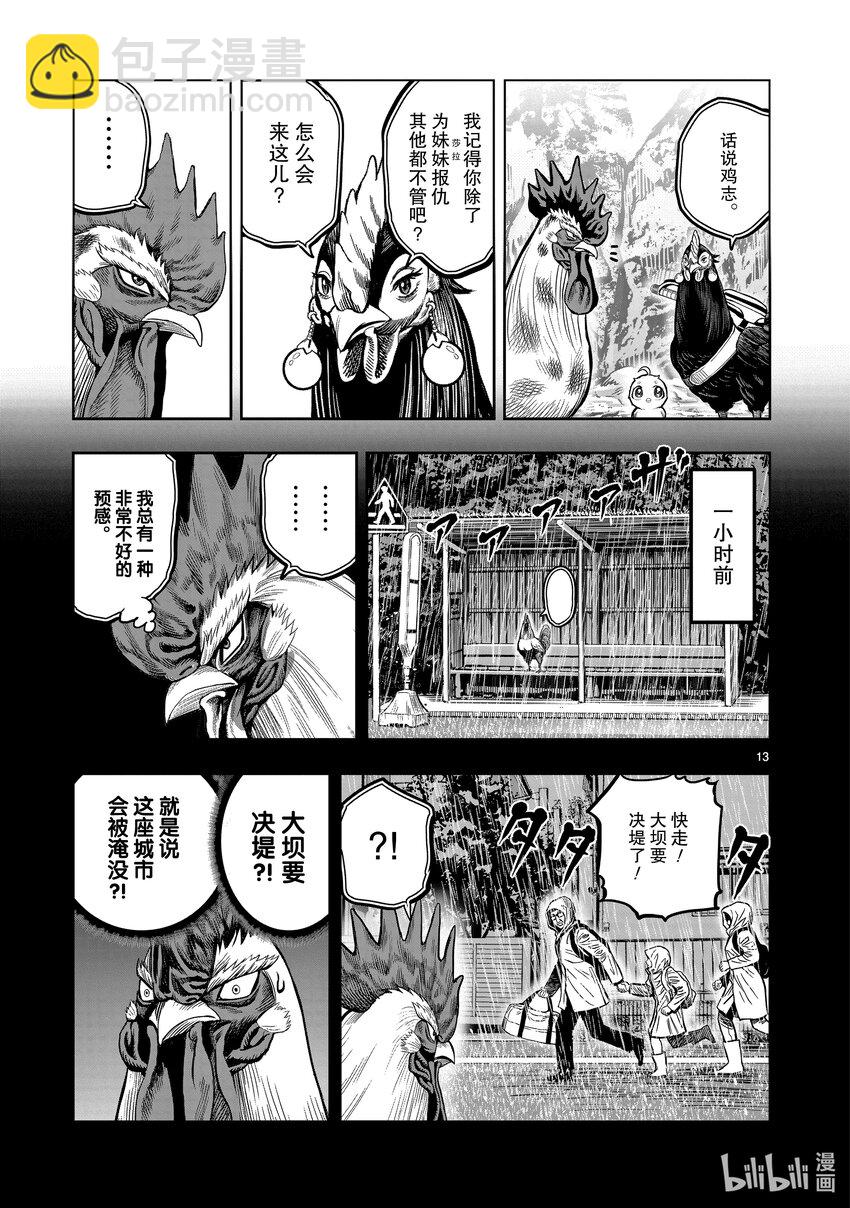 🍴鸡斗士 第16只 群鸡一鹤 第16页