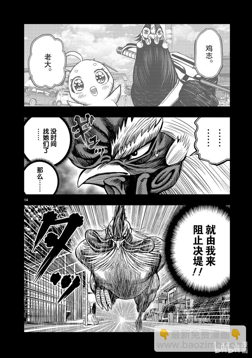 🍴鸡斗士 第16只 群鸡一鹤 第17页