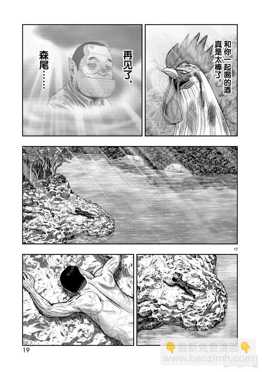 🍴鸡斗士 第16只 群鸡一鹤 第20页