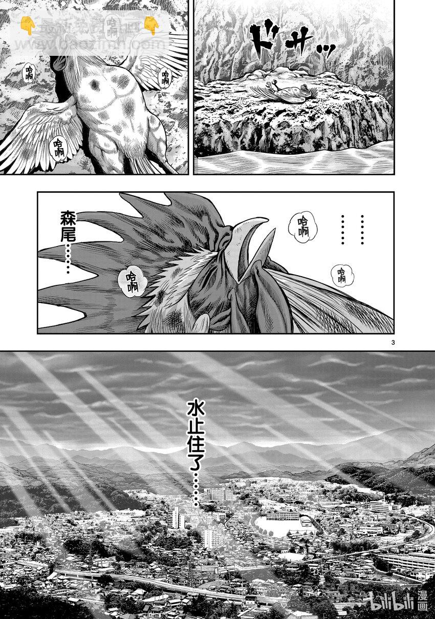 🍴鸡斗士 第16只 群鸡一鹤 第6页