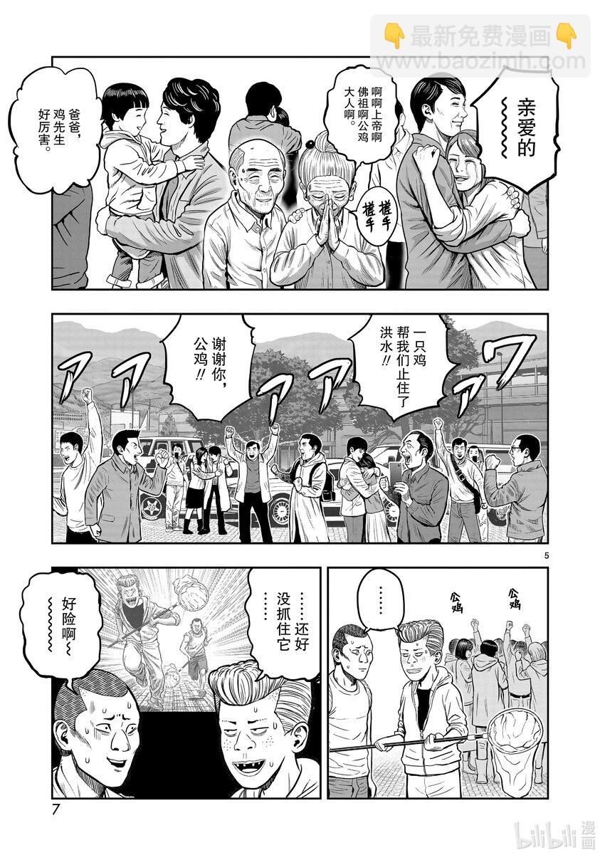 🍴鸡斗士 第16只 群鸡一鹤 第8页