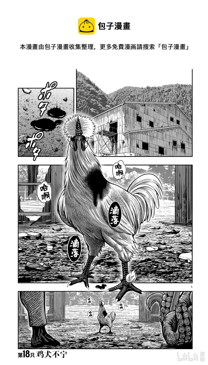 🍴鸡斗士 第18只 鸡犬不宁 第1页