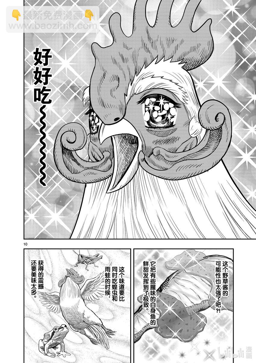 🍴鸡斗士 第18只 鸡犬不宁 第10页