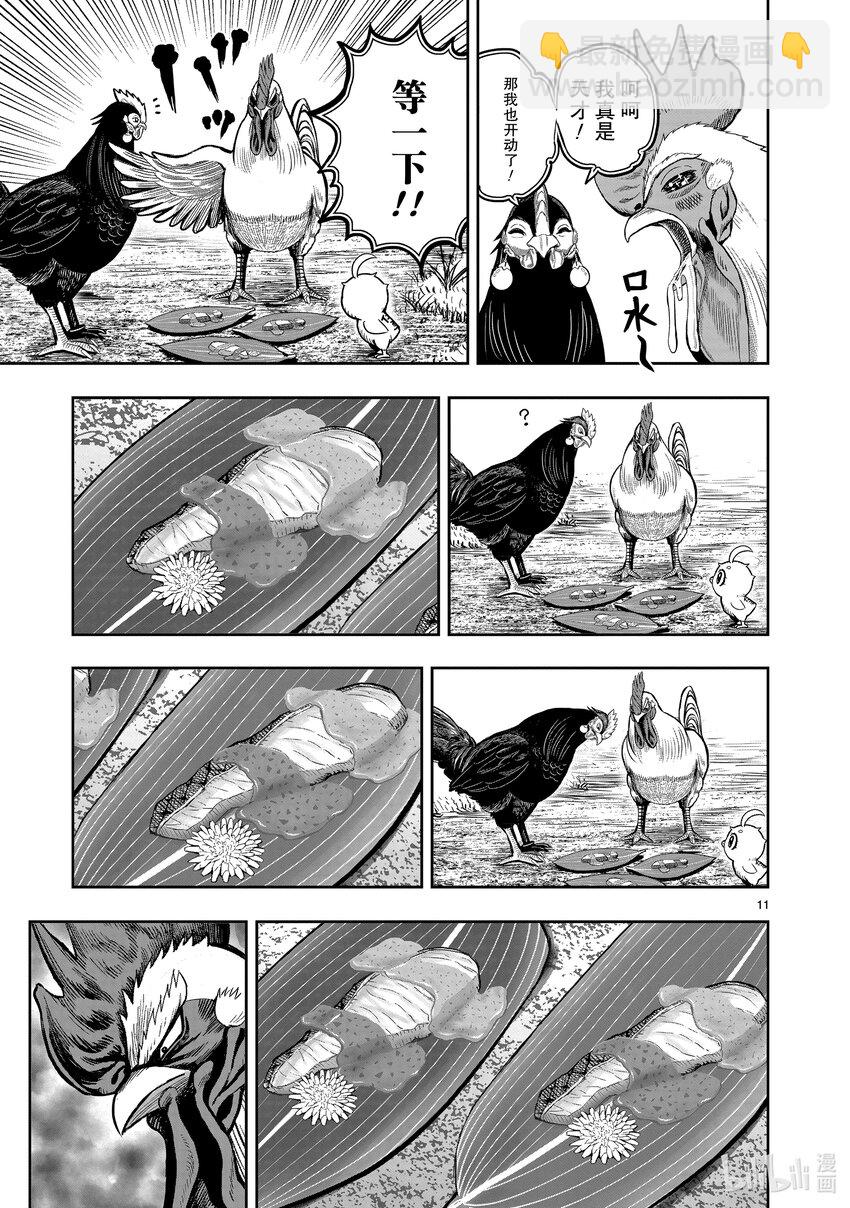 🍴鸡斗士 第18只 鸡犬不宁 第11页