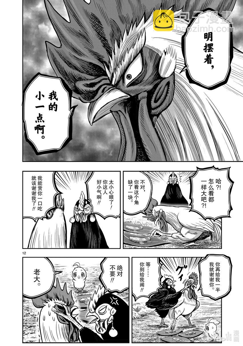 🍴鸡斗士 第18只 鸡犬不宁 第12页