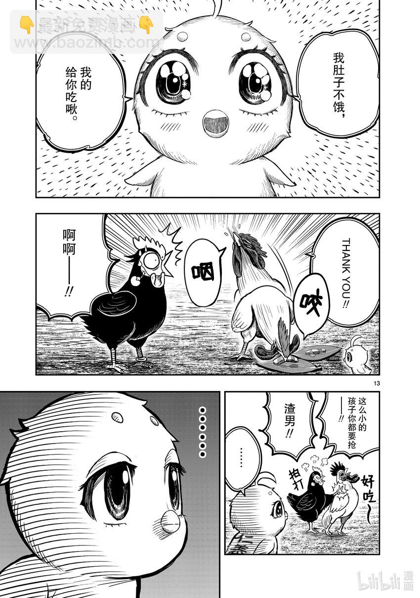 🍴鸡斗士 第18只 鸡犬不宁 第13页