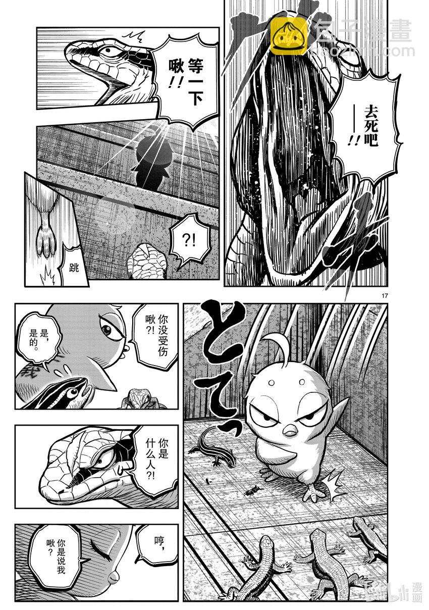 🍴鸡斗士 第18只 鸡犬不宁 第17页
