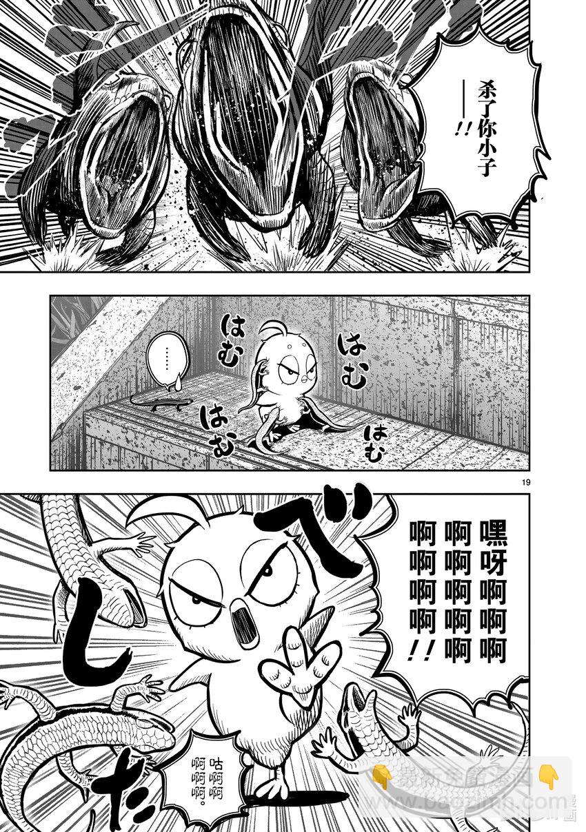 🍴鸡斗士 第18只 鸡犬不宁 第19页