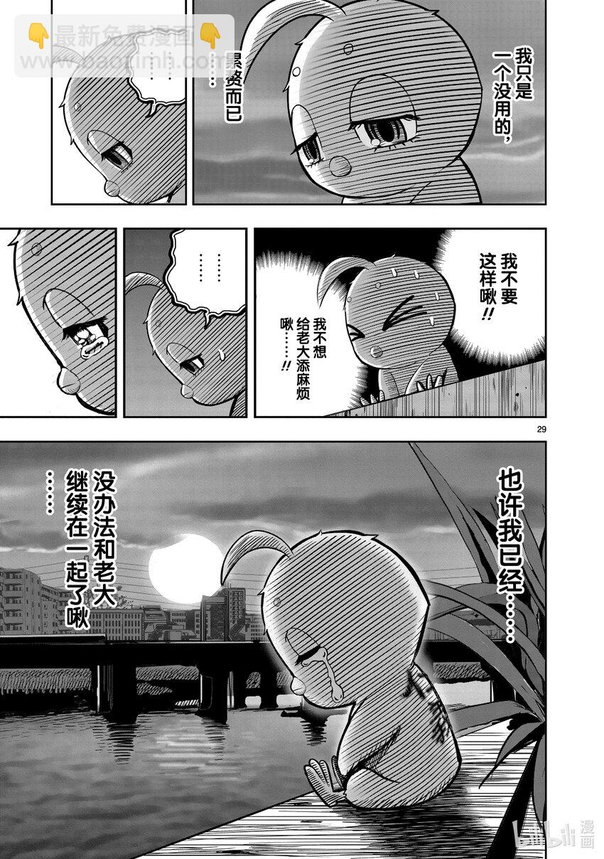 🍴鸡斗士 第18只 鸡犬不宁 第29页