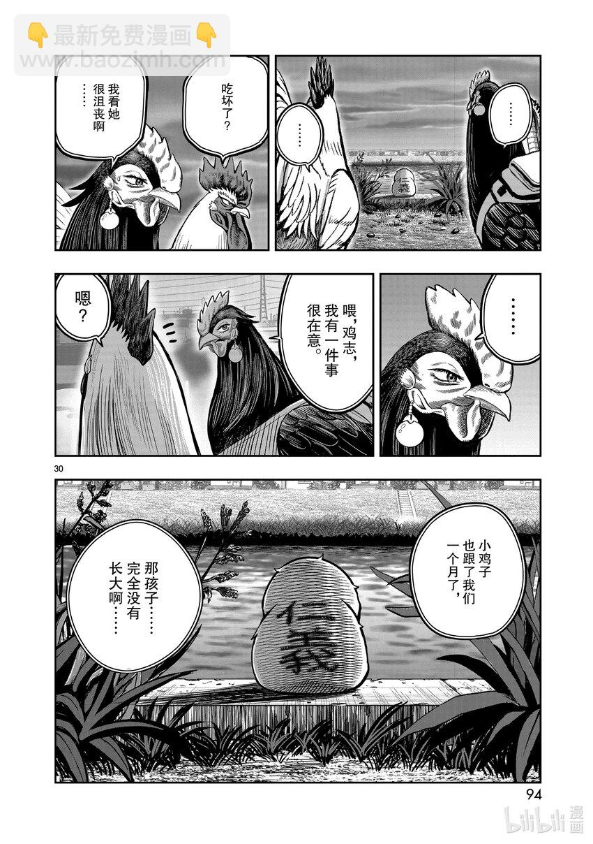 🍴鸡斗士 第18只 鸡犬不宁 第30页