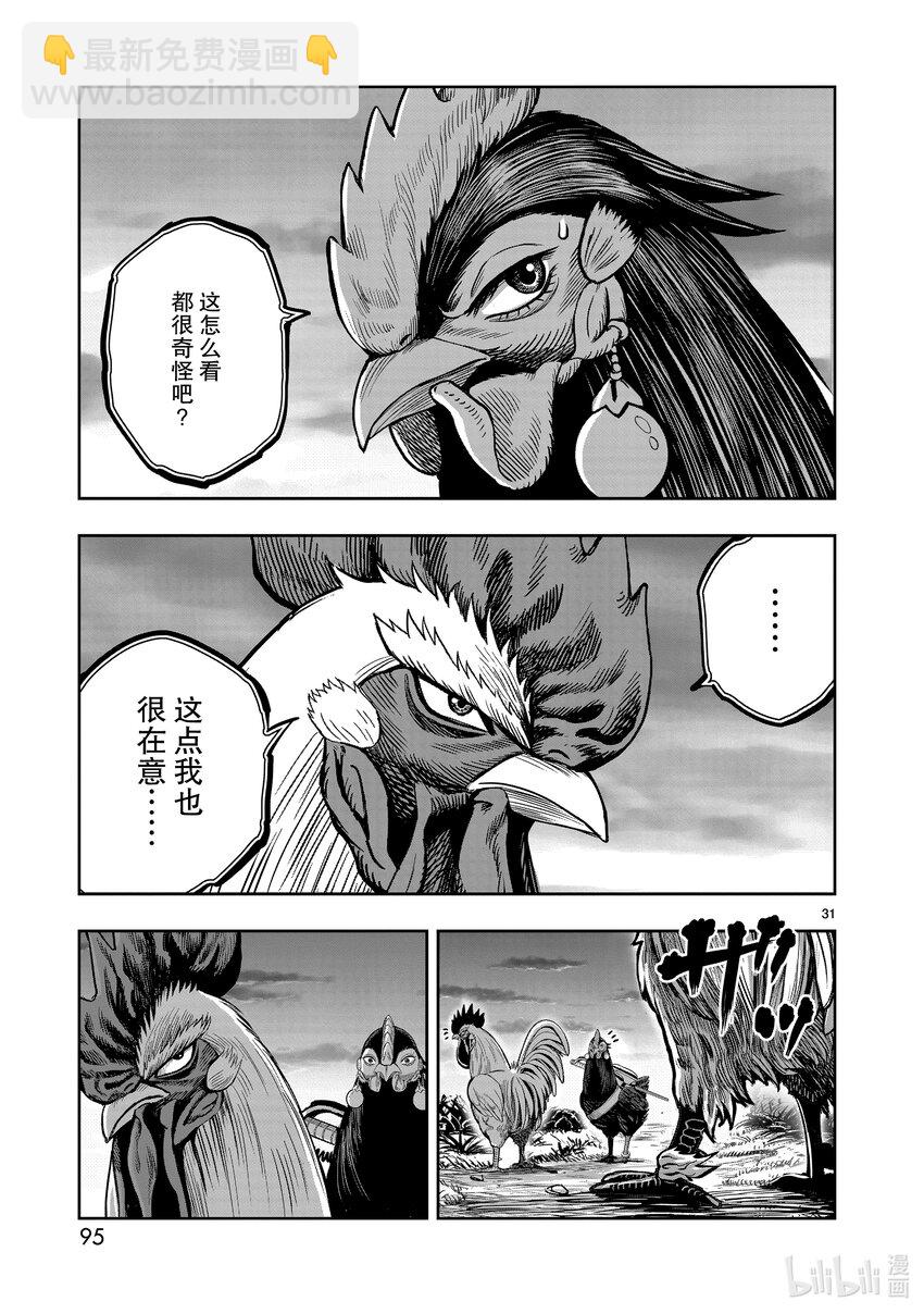 🍴鸡斗士 第18只 鸡犬不宁 第31页