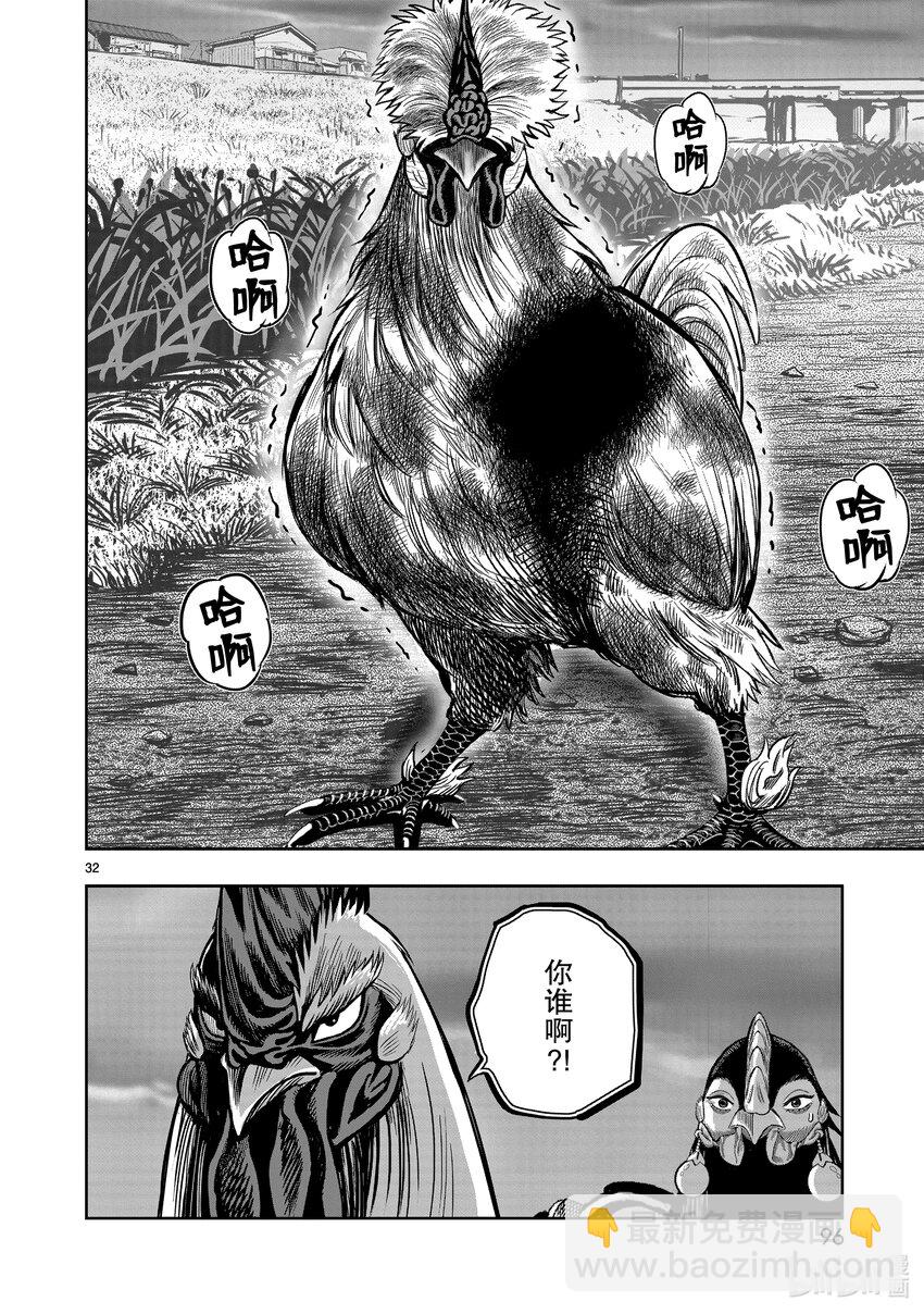 🍴鸡斗士 第18只 鸡犬不宁 第32页