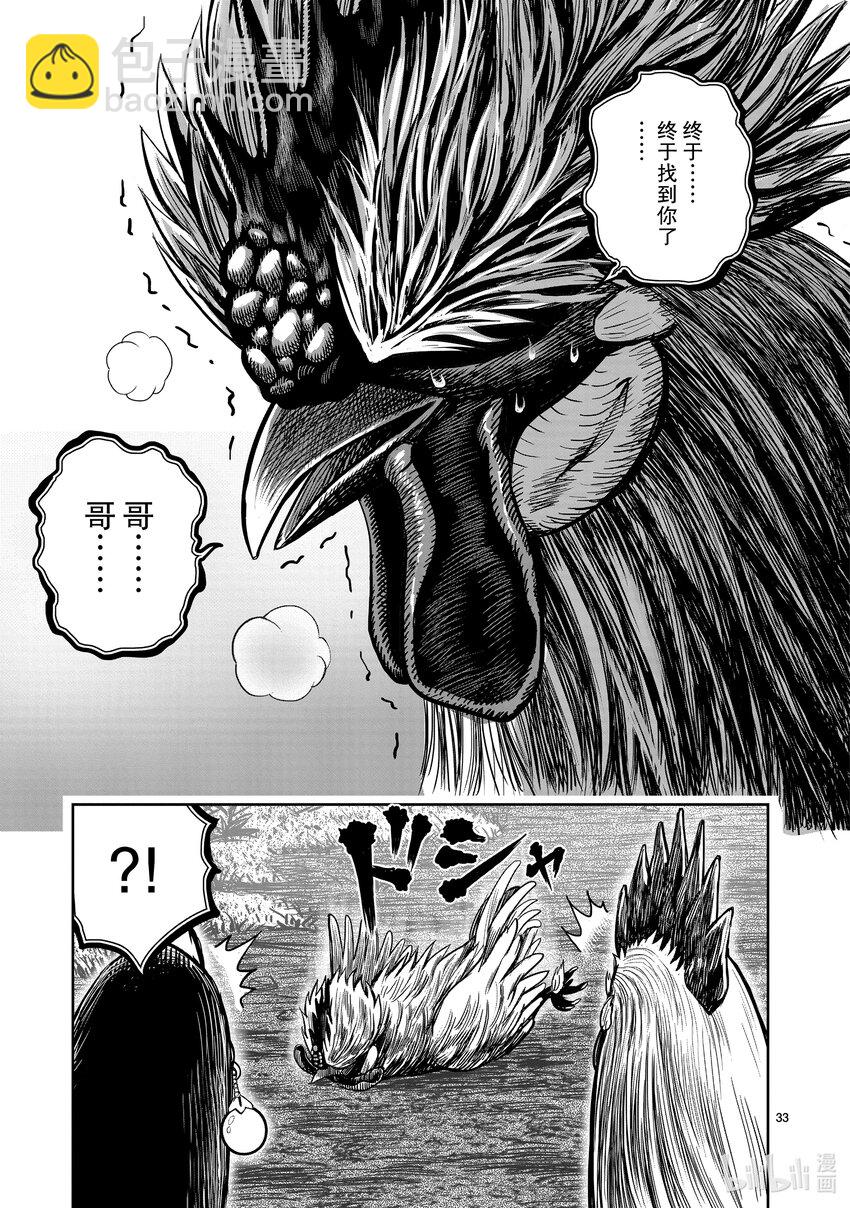 🍴鸡斗士 第18只 鸡犬不宁 第33页