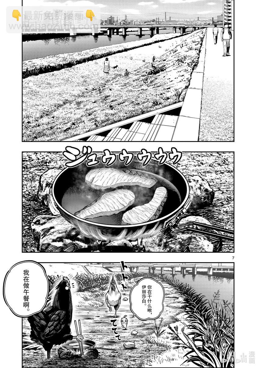 🍴鸡斗士 第18只 鸡犬不宁 第7页