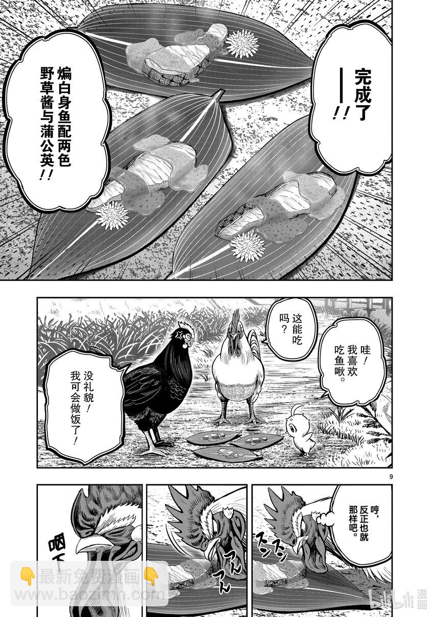 🍴鸡斗士 第18只 鸡犬不宁 第9页