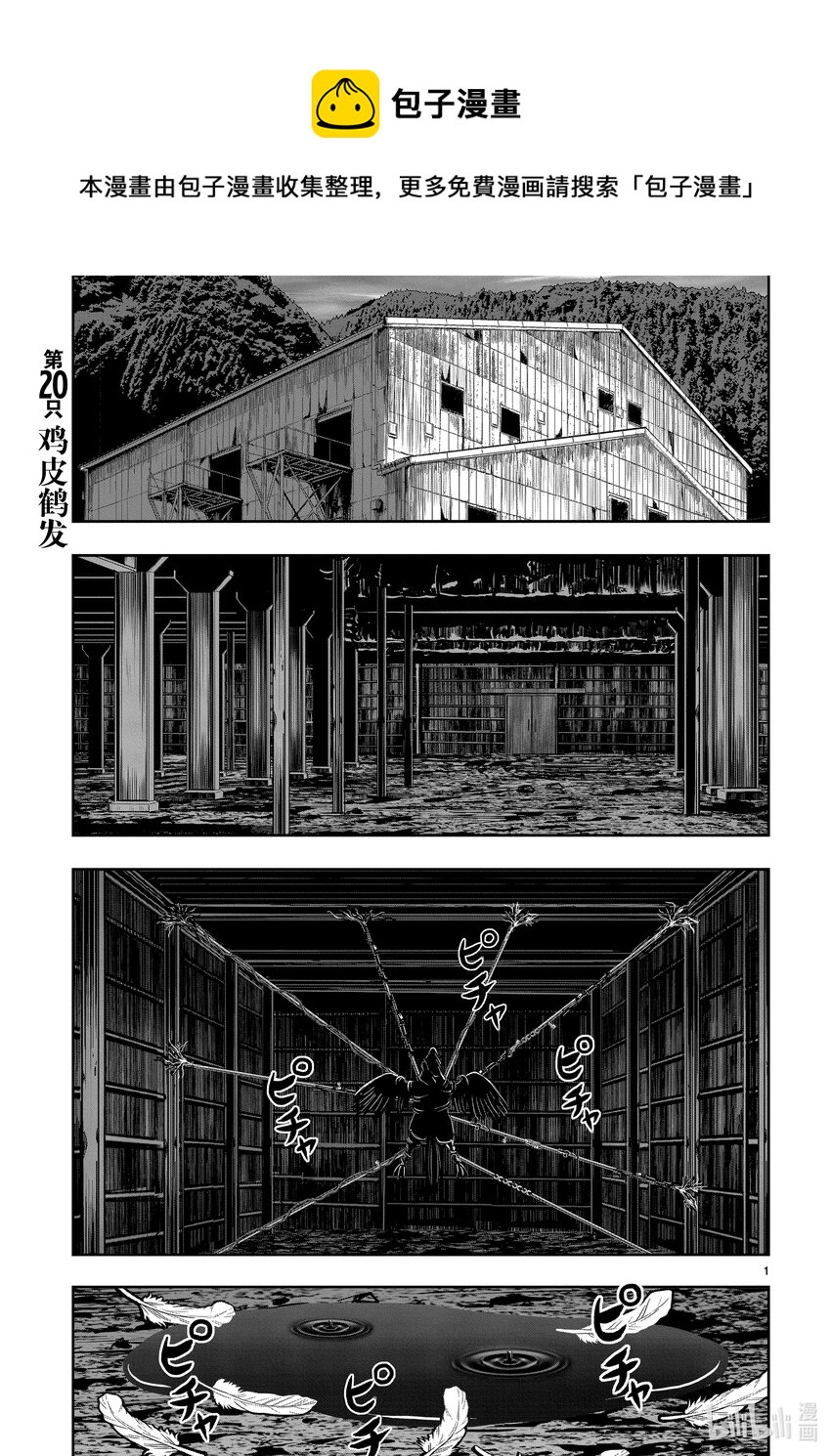 🍴鸡斗士 第20只 鸡皮鹤发 第1页