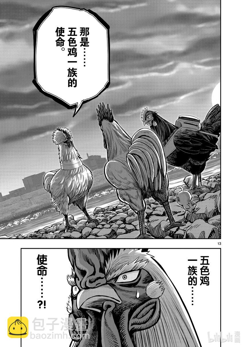 🍴鸡斗士 第20只 鸡皮鹤发 第13页