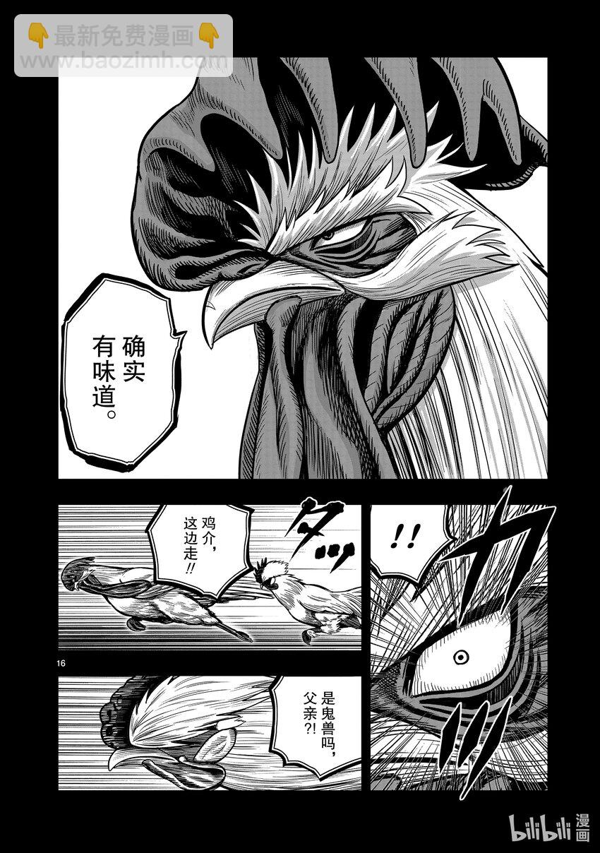 🍴鸡斗士 第20只 鸡皮鹤发 第16页