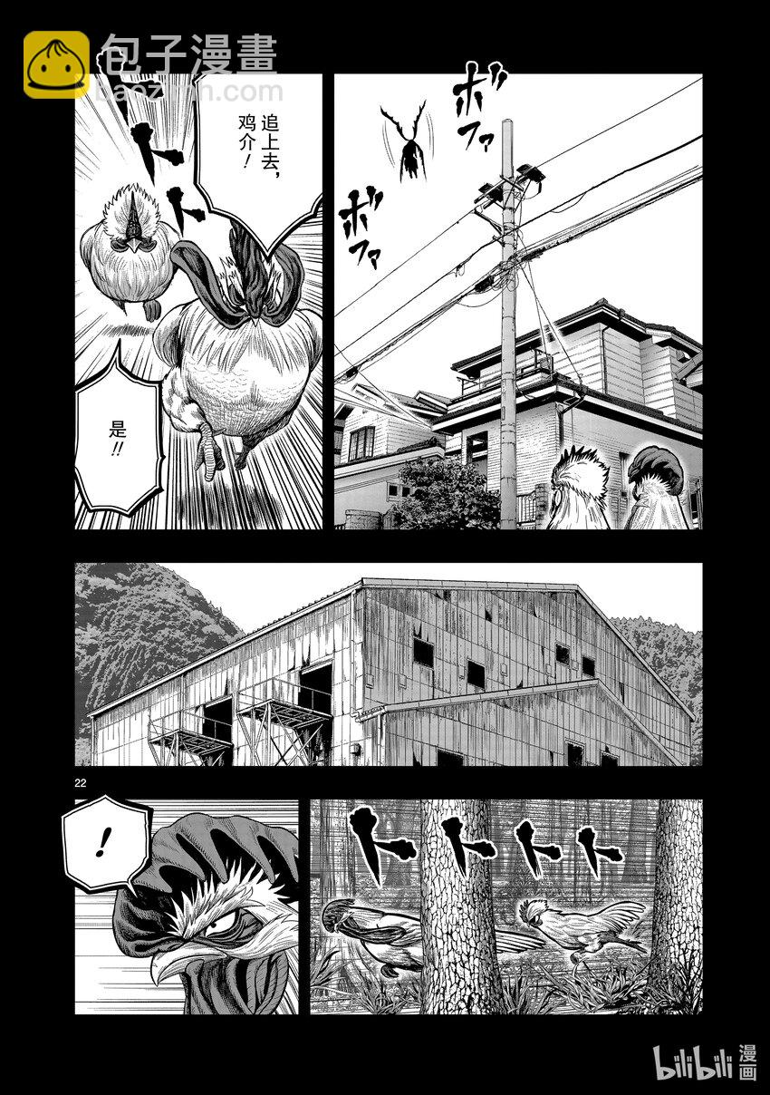 🍴鸡斗士 第20只 鸡皮鹤发 第22页