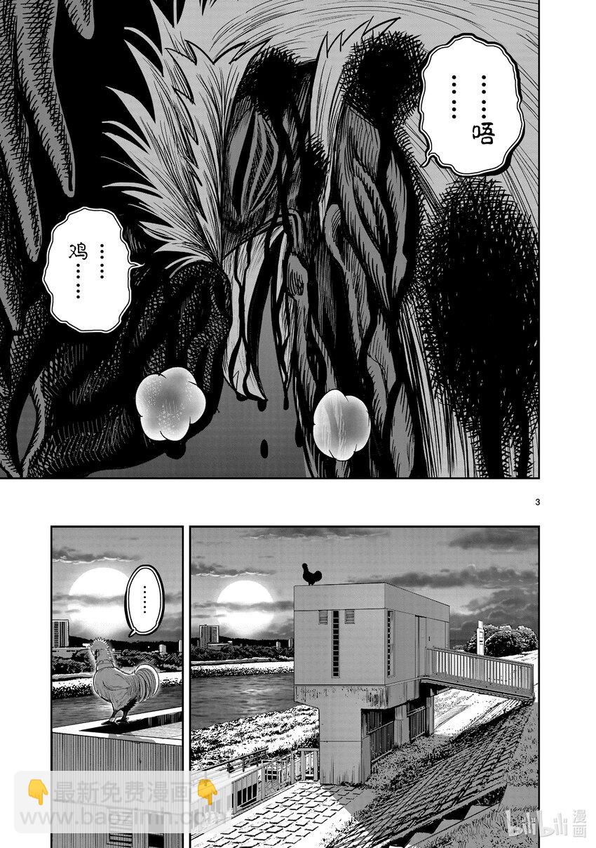 🍴鸡斗士 第20只 鸡皮鹤发 第3页