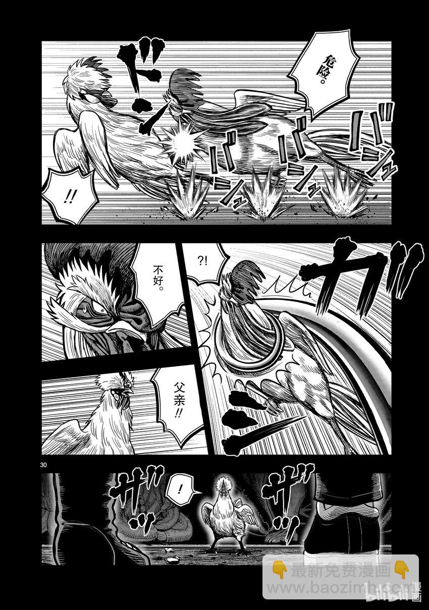 🍴鸡斗士 第20只 鸡皮鹤发 第30页