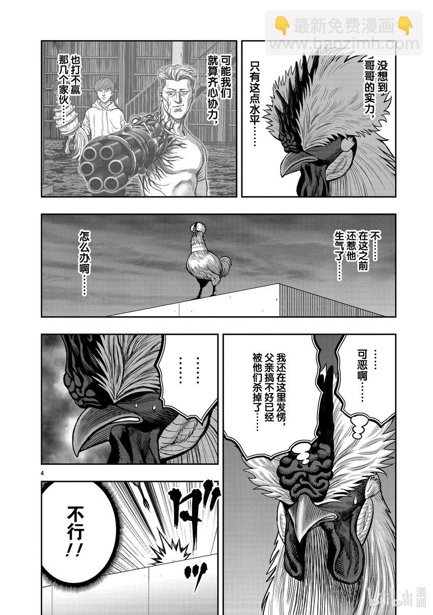 🍴鸡斗士 第20只 鸡皮鹤发 第4页