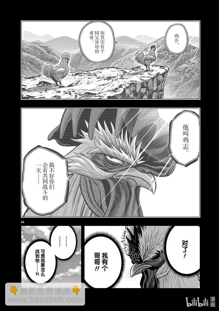 🍴鸡斗士 第20只 鸡皮鹤发 第44页