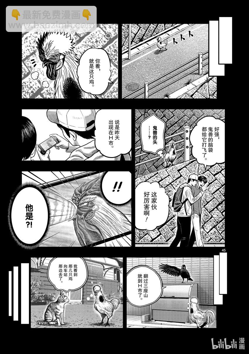 🍴鸡斗士 第20只 鸡皮鹤发 第45页