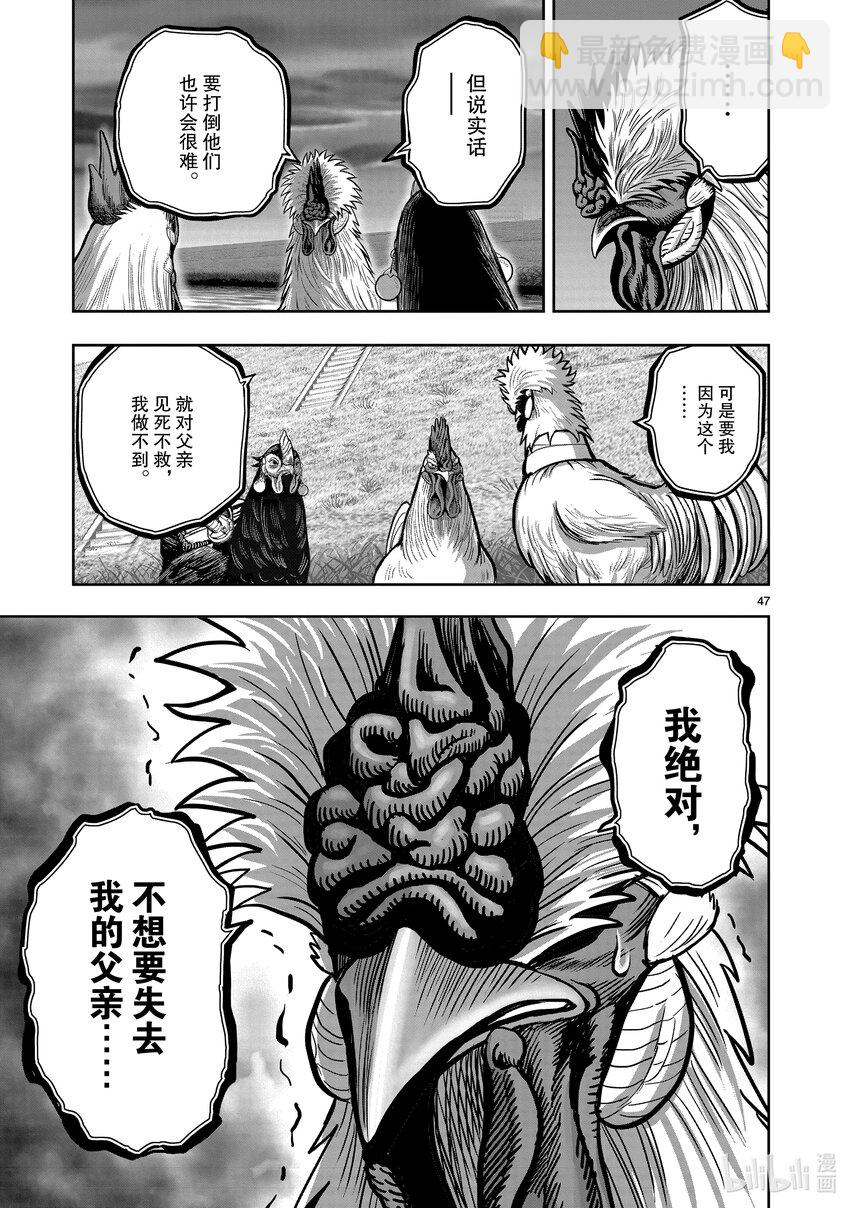 🍴鸡斗士 第20只 鸡皮鹤发 第47页