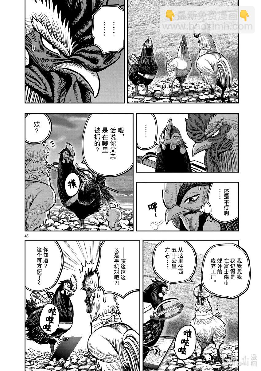 🍴鸡斗士 第20只 鸡皮鹤发 第48页