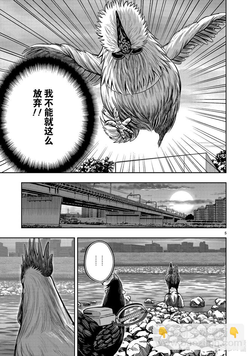 🍴鸡斗士 第20只 鸡皮鹤发 第5页