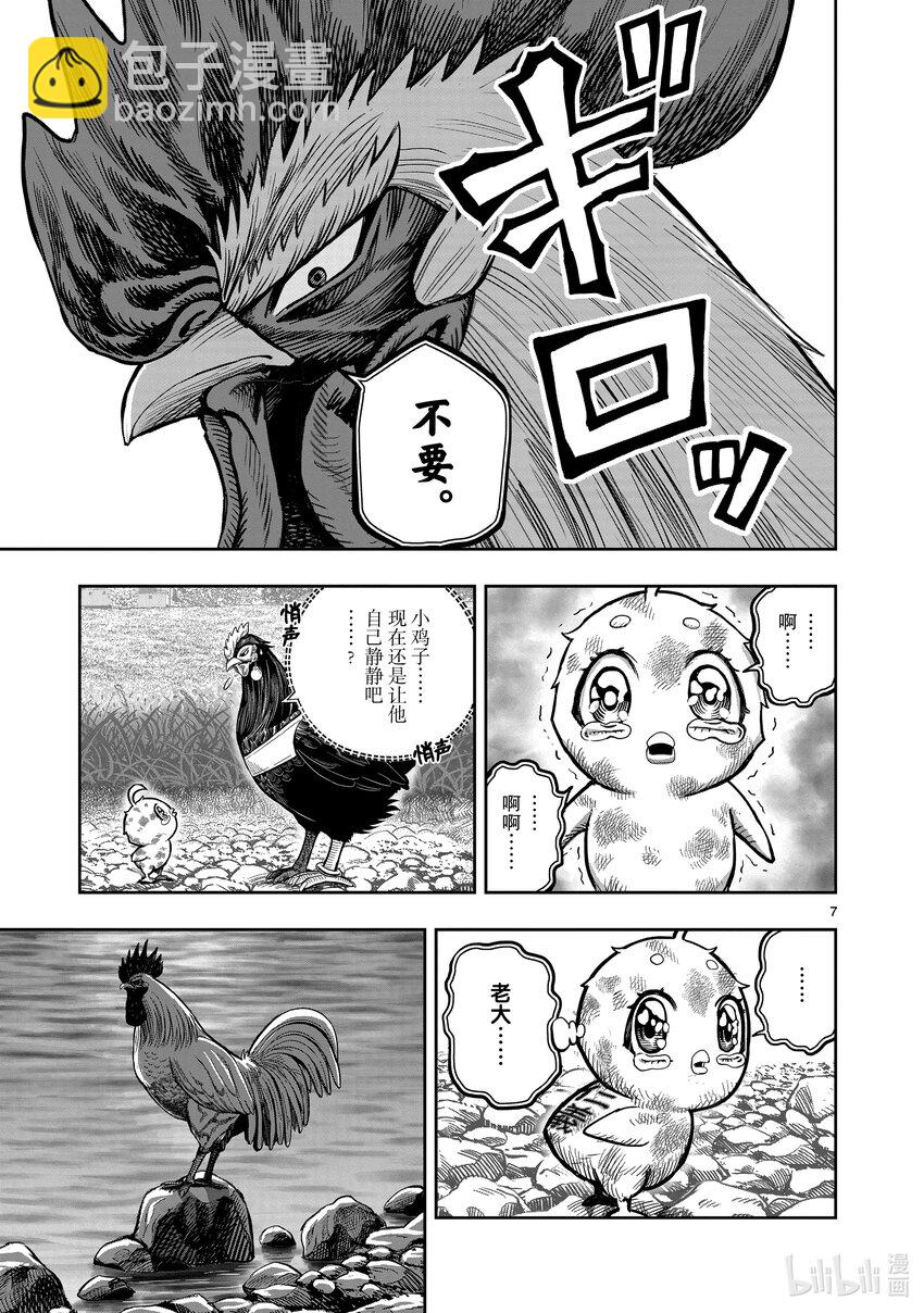 🍴鸡斗士 第20只 鸡皮鹤发 第7页