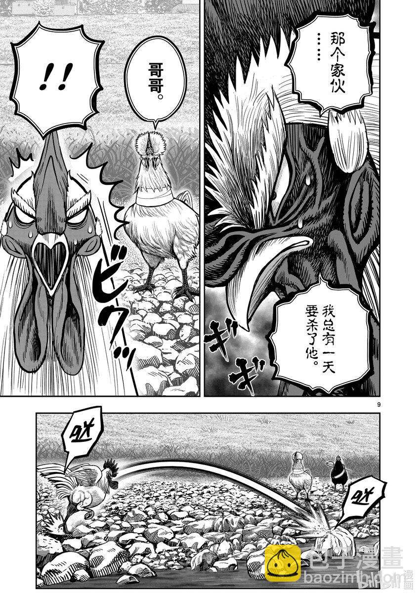 🍴鸡斗士 第20只 鸡皮鹤发 第9页