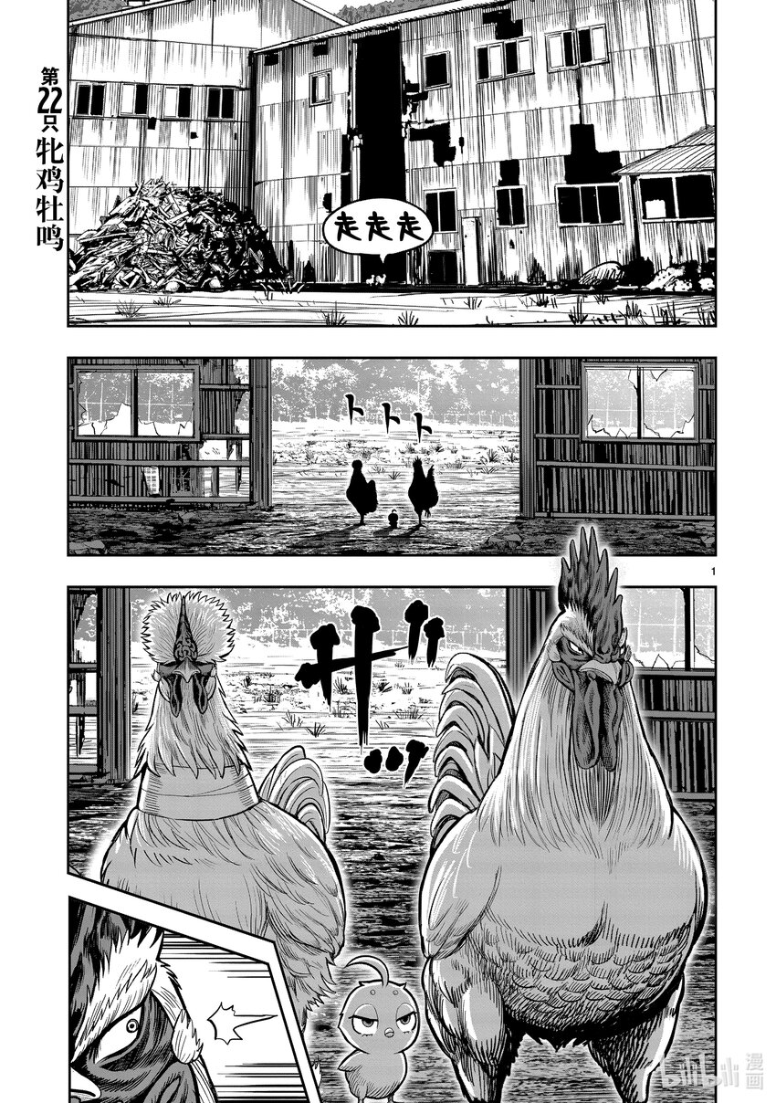 🍴鸡斗士 第22只 牝鸡牡鸣 第1页