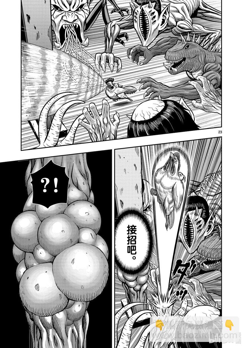 🍴鸡斗士 第22只 牝鸡牡鸣 第23页