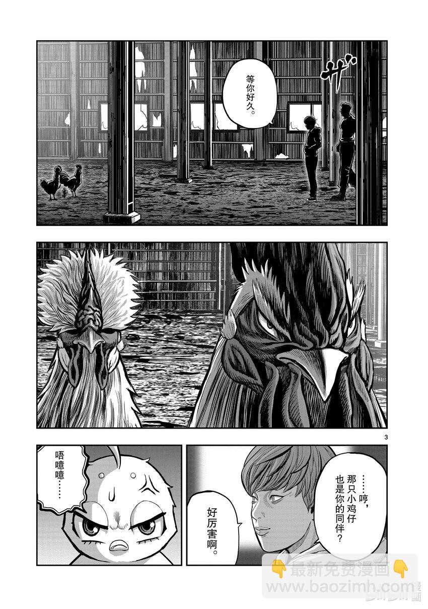 🍴鸡斗士 第22只 牝鸡牡鸣 第3页