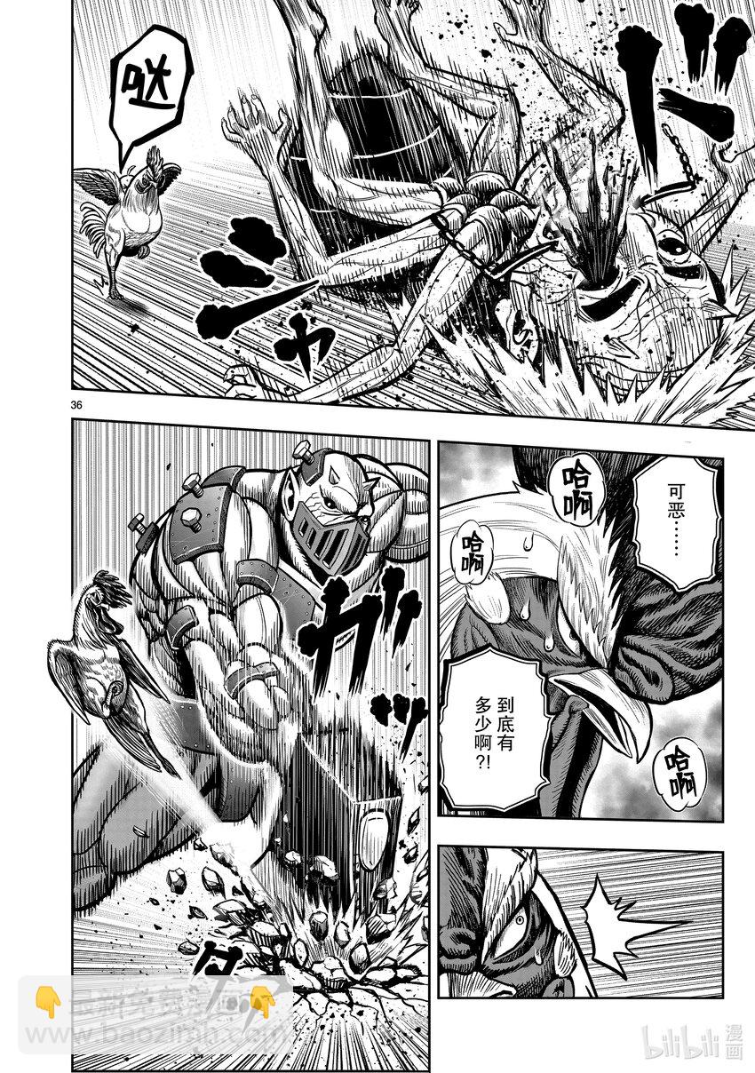 🍴鸡斗士 第22只 牝鸡牡鸣 第36页